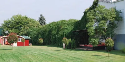 FKK Paradies Erfurt (D)